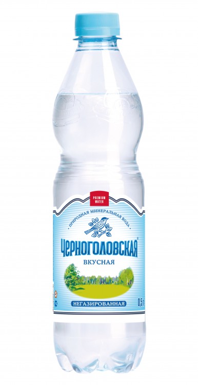 Черноголовская питьевая без газа пэт, 0,5 л. (12шт.)